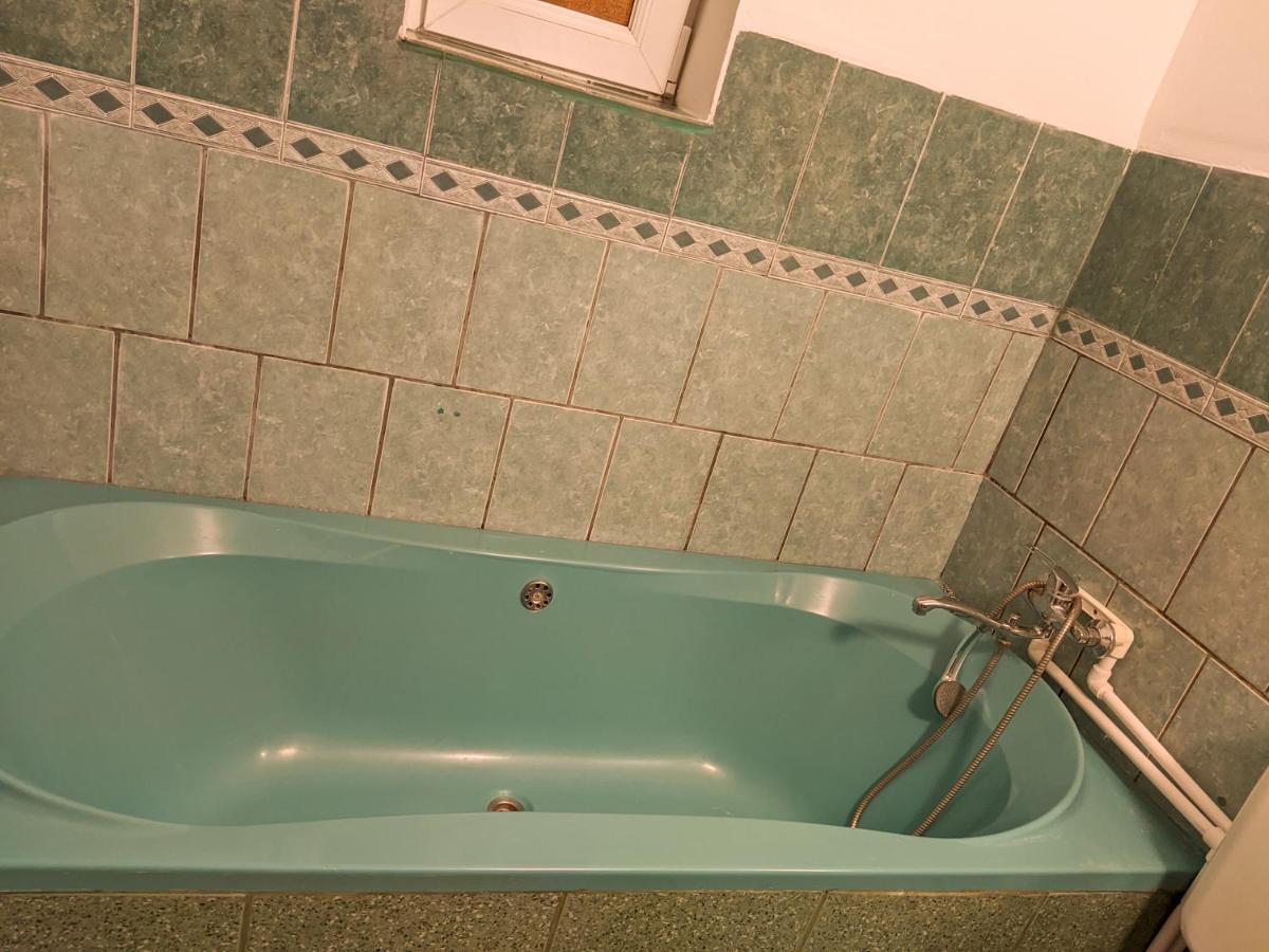 Moss's Economy Apartment Timişoara